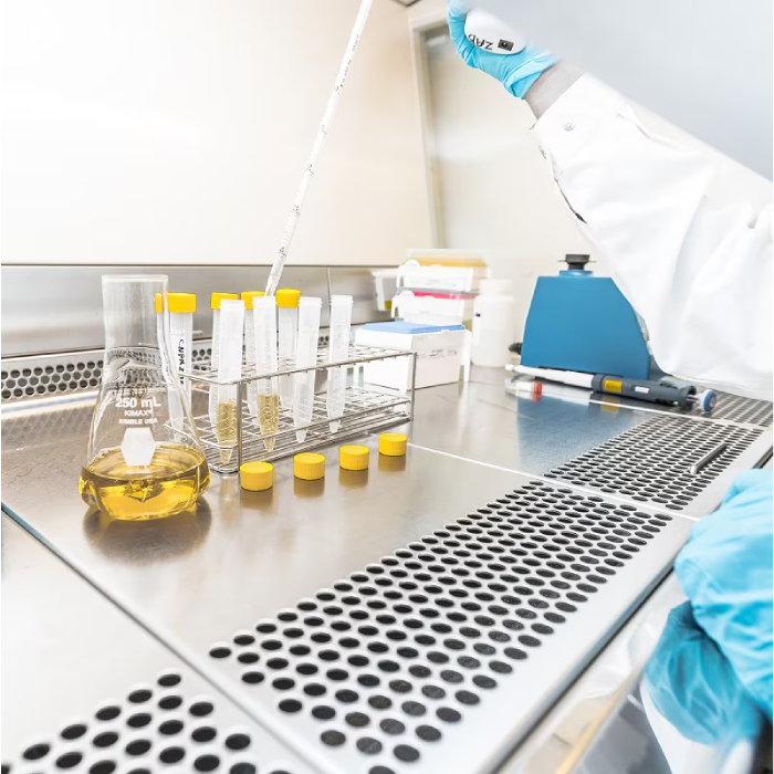 Sustainable Scent Innovation dsm-firmenich